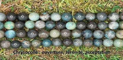 Bracelet Forêt Intérieure